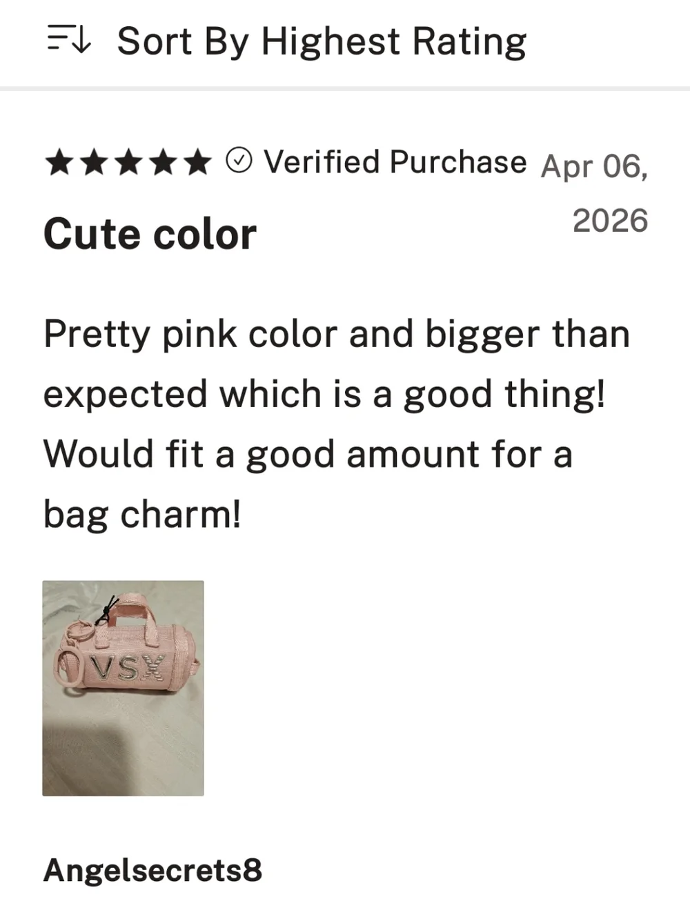 Victoria's Secret VSX Micro Duffle Bag Charm Keychain Pink NEW SOLD OUT Msrp $30 - Picture 5 of 7